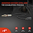 APOS1257 2 Pcs Upstream O2 Oxygen Sensor