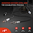 APOS1258 2 Pcs Upstream & Downstream O2 Oxygen Sensor