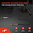 APOS1281 4 Pcs Upstream & Downstream O2 Oxygen Sensor