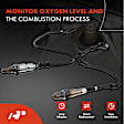 APOS1288 2 Pcs Upstream & Downstream O2 Oxygen Sensor