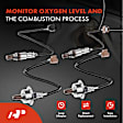 APOS1294 4 Pcs Upstream & Downstream O2 Oxygen Sensor
