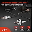 APOS1295 2 Pcs Upstream & Downstream O2 Oxygen Sensor