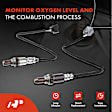 APOS1296 2 Pcs Upstream & Downstream O2 Oxygen Sensor