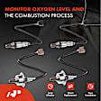 APOS1297 4 Pcs Upstream & Downstream O2 Oxygen Sensor