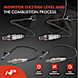APOS1298 4 Pcs Upstream & Downstream O2 Oxygen Sensor