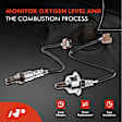 APOS1299 2 Pcs Upstream & Downstream O2 Oxygen Sensor