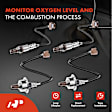 APOS1300 4 Pcs Upstream & Downstream O2 Oxygen Sensor