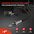 APOS1301 2 Pcs Downstream O2 Oxygen Sensor