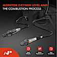 APOS1305 2 Pcs Upstream & Downstream O2 Oxygen Sensor