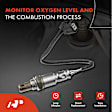 APOS1309 2 Pcs Downstream Front & Rear O2 Oxygen Sensor