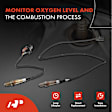 APOS1310 2 Pcs Upstream & Downstream O2 Oxygen Sensor