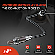APOS1314 2 Pcs Upstream & Downstream O2 Oxygen Sensor