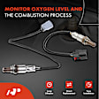 APOS1318 2 Pcs Upstream & Downstream O2 Oxygen Sensor