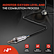 APOS1320 2 Pcs Upstream & Downstream O2 Oxygen Sensor
