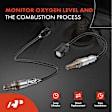 APOS1321 2 Pcs Upstream & Downstream O2 Oxygen Sensor