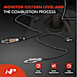 APOS1323 2 Pcs Upstream & Downstream O2 Oxygen Sensor