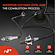APOS1327 2 Pcs Upstream & Downstream O2 Oxygen Sensor