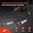 APOS1328 2 Pcs Downstream O2 Oxygen Sensor