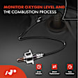 APOS1333 2 Pcs Upstream & Downstream O2 Oxygen Sensor