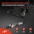 APOS1336 2 Pcs Upstream Left & Right O2 Oxygen Sensor