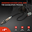 APOS1360 Upstream O2 Oxygen Sensor