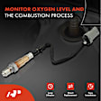 APOS1368 O2 Oxygen Sensor