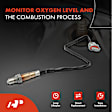APOS1369 O2 Oxygen Sensor