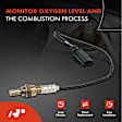 APOS1393 Downstream Left O2 Oxygen Sensor