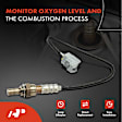 APOS1401 Downstream O2 Oxygen Sensor