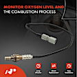 APOS1404 Downstream Front O2 Oxygen Sensor