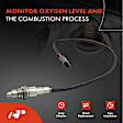 APOS1405 Downstream Rear O2 Oxygen Sensor
