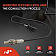 APOS1407 O2 Oxygen Sensor