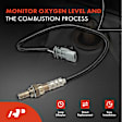 APOS1408 O2 Oxygen Sensor