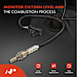 APOS1410 Downstream O2 Oxygen Sensor