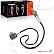 APOS1415 Center O2 Oxygen Sensor