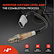 APOS1429 Downstream Left or Right O2 Oxygen Sensor