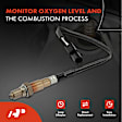 APOS1430 Downstream O2 Oxygen Sensor