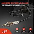 APOS1431 Downstream Front O2 Oxygen Sensor