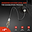 APOS1476 2 Pcs Upstream & Downstream O2 Oxygen Sensor