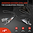 APOS1505 2 Pcs Upstream & Downstream O2 Oxygen Sensor