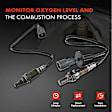 APOS1517 2 Pcs Upstream & Downstream O2 Oxygen Sensor