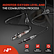 APOS1520 2 Pcs Upstream & Downstream O2 Oxygen Sensor