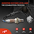 APOS1529 3 Pcs Upstream & Downstream & Center O2 Oxygen Sensor
