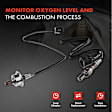APOS1575 2 Pcs Upstream & Downstream O2 Oxygen Sensor
