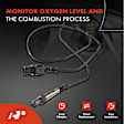 APOS1612 4 Pcs Upstream & Downstream O2 Oxygen Sensor