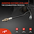 2-Pc Oxygen Sensor, Upstream & Downstream, 4-Pin, A-Premium APOS1625