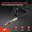APOS1643 O2 Oxygen Sensor