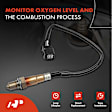 APOS1647 O2 Oxygen Sensor