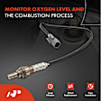APOS1653 O2 Oxygen Sensor