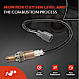 APOS1657 O2 Oxygen Sensor